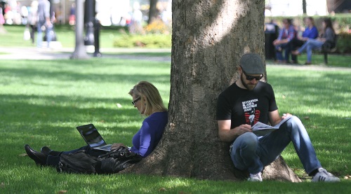 Festival Visitor with computer